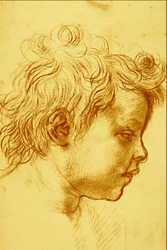 Andrea del Sarto